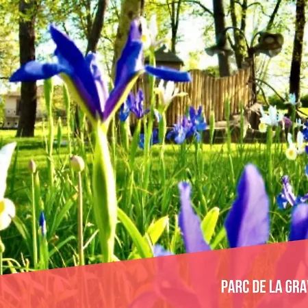 Au Coin Du Lys Garage - Jardin - Wifi Saint-Lys